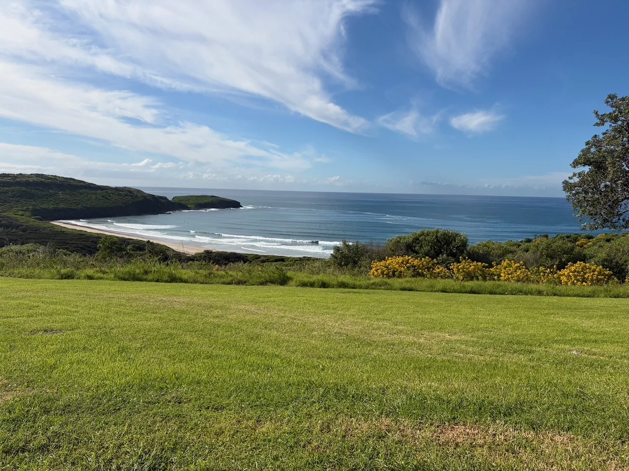 A wide view over The Farm at Killalea with ocean, headland and green grass under blue sky.