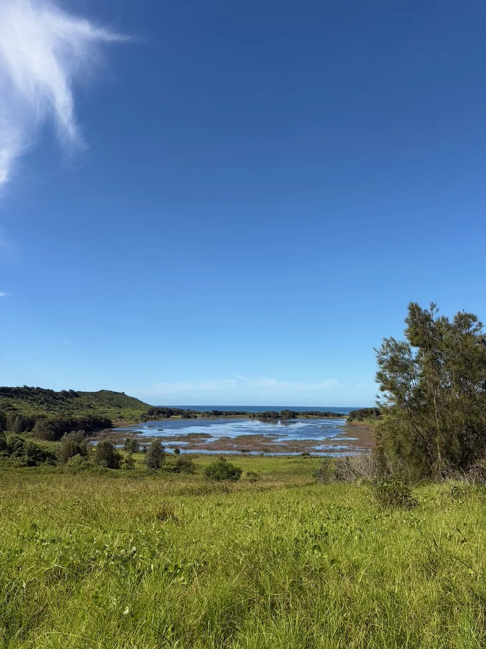 Killalea Lagoon viewed from a grassy hill with the ocean in the distance.