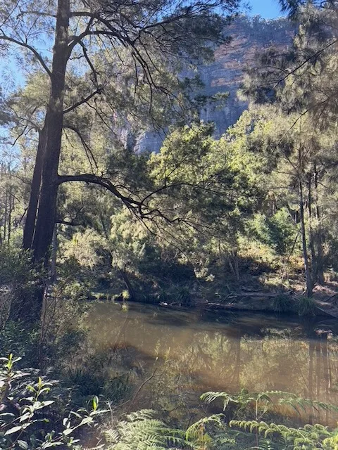 The Capertee River at Coorongooba, calm and dark, with sandstone cliffs and tall trees reflected in the water.