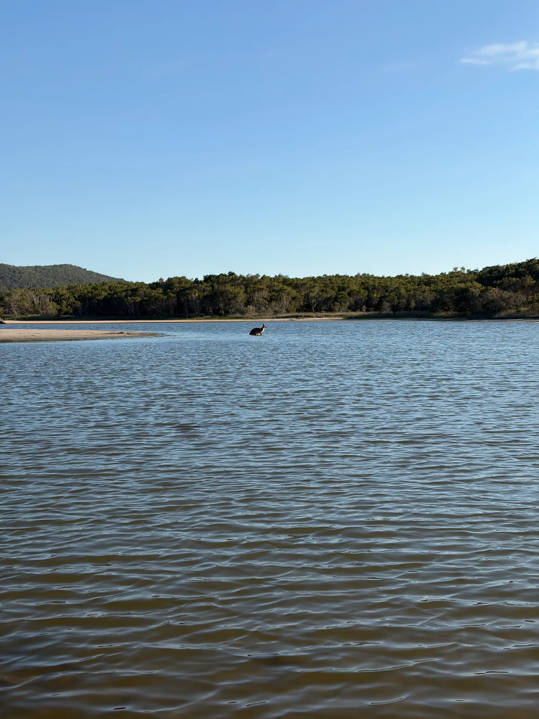 Lake Arragan lagoon in calm morning light at Red Cliff, Yuraygir National Park