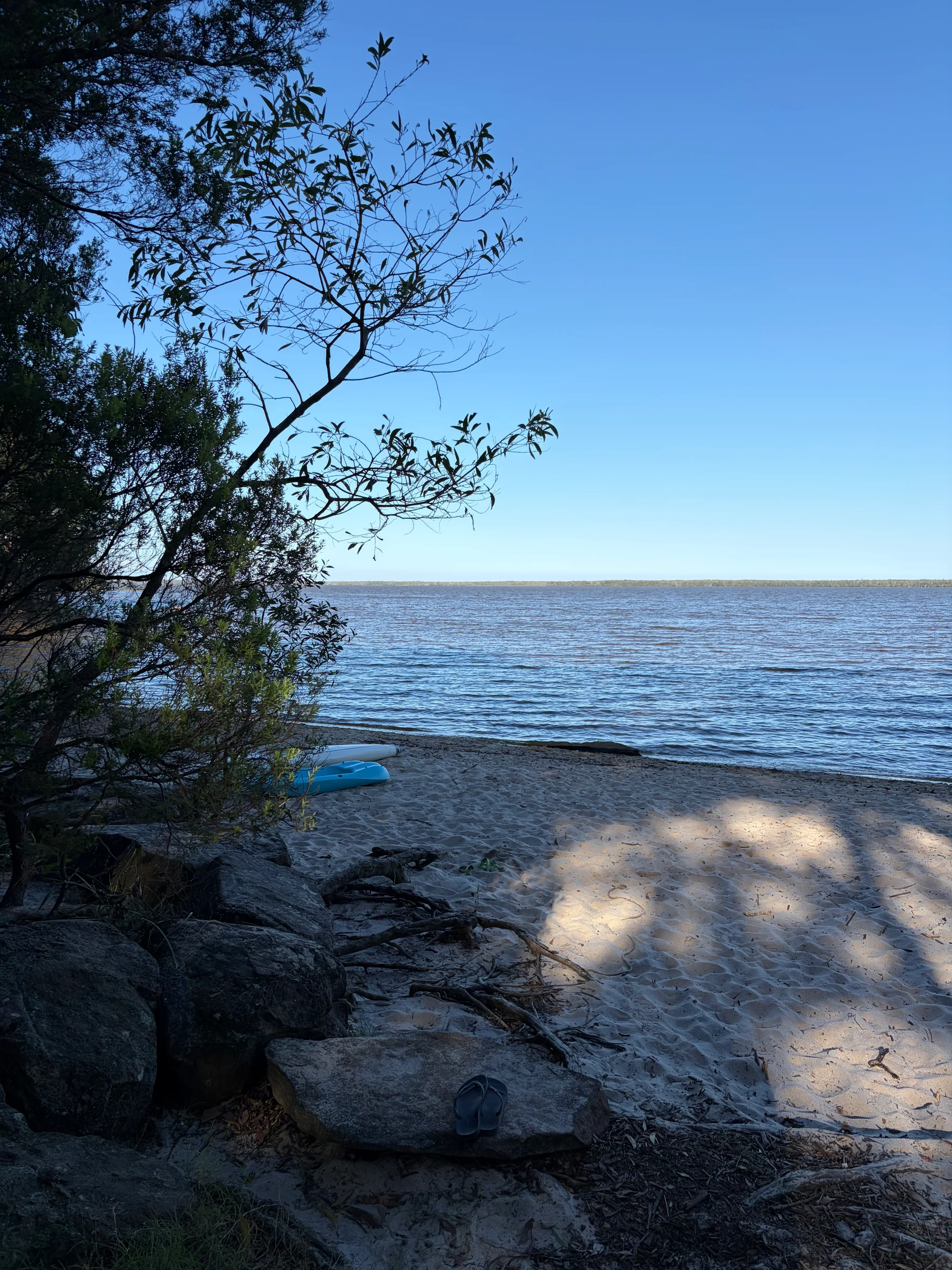 Shady sandy shore at Boreen Point with a blue stand-up paddleboard pulled up beside Lake Cootharaba.