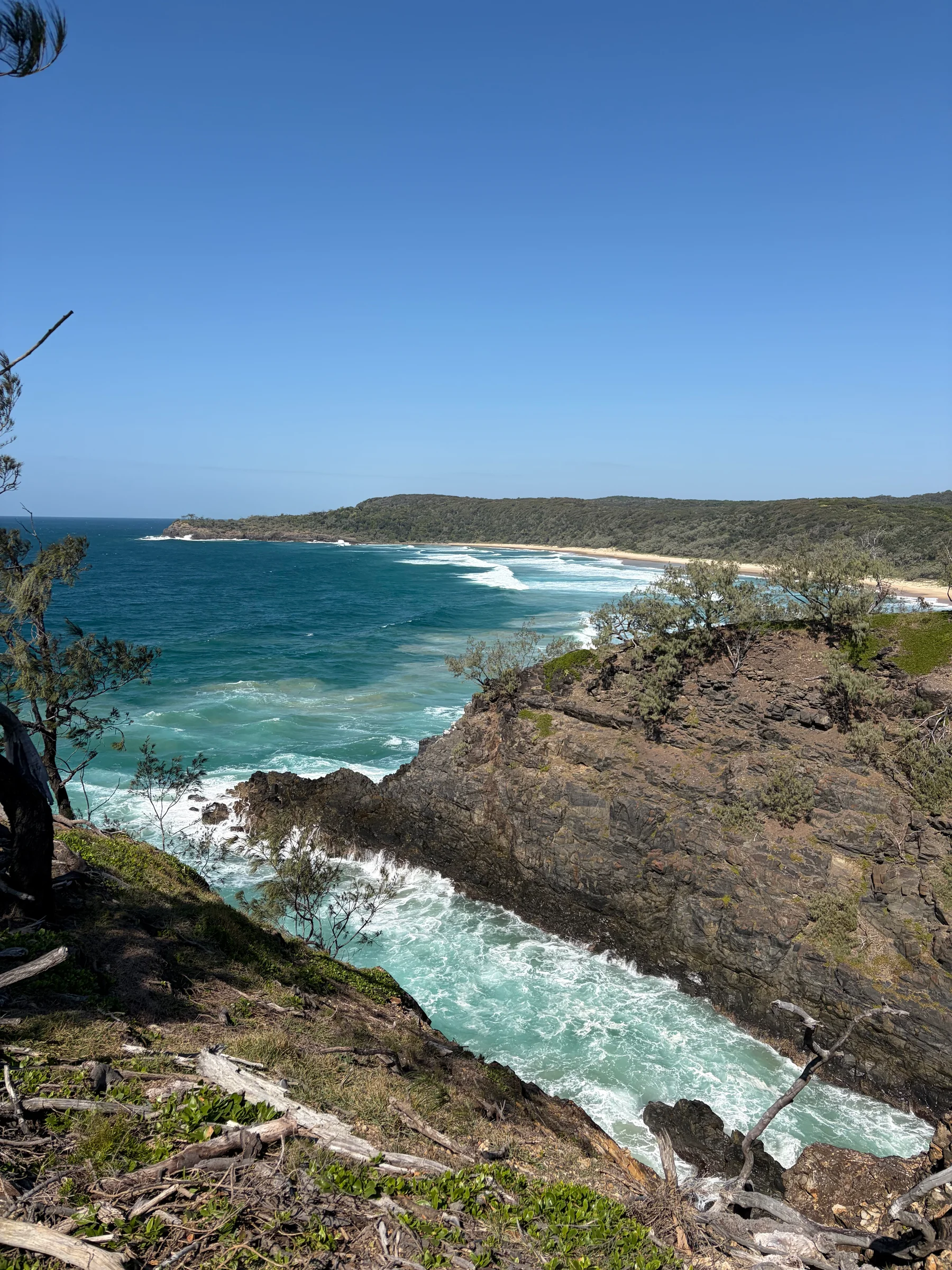 The Noosa River in mirror-still conditions in the early morning at Harry's Hut.