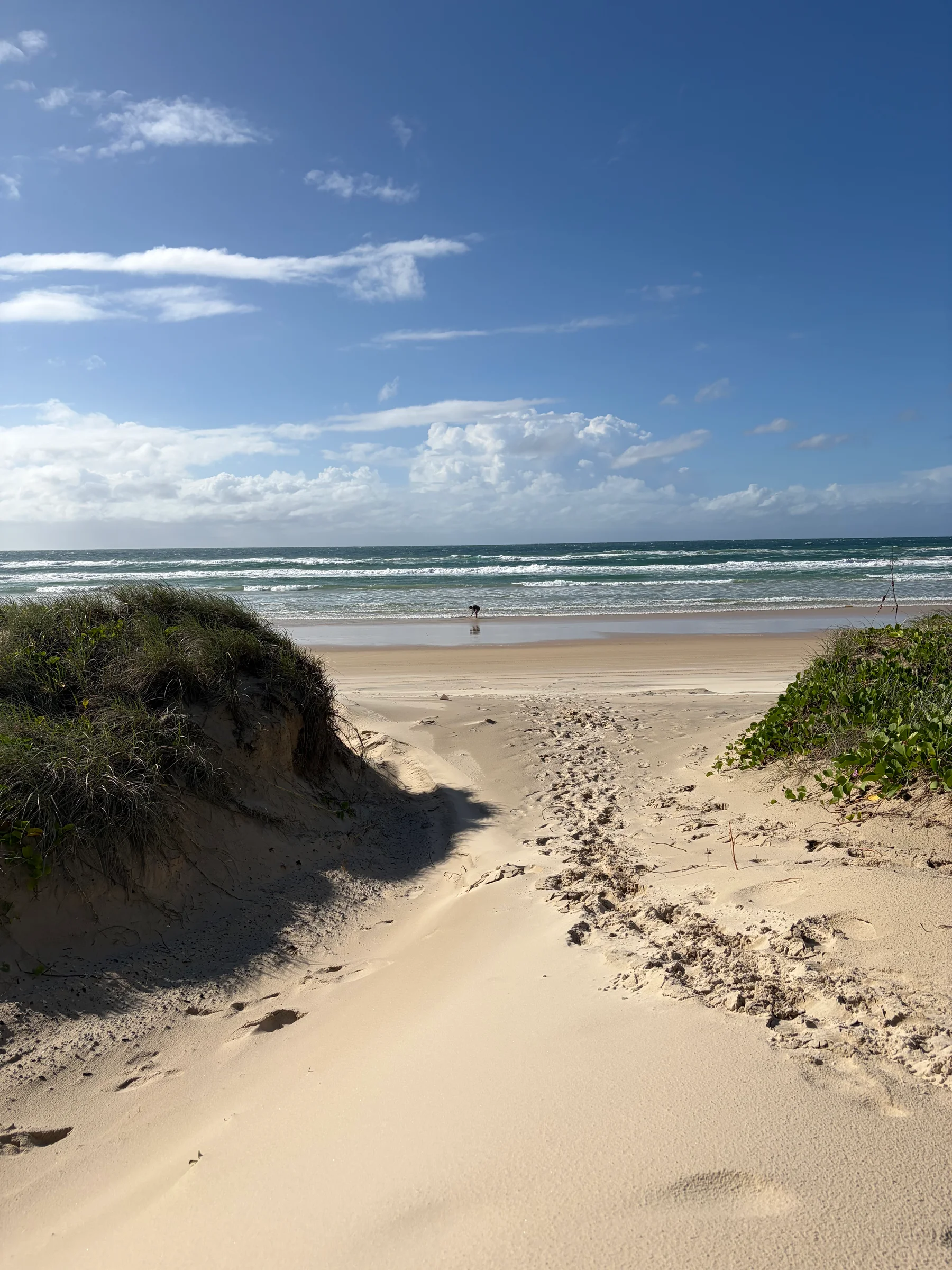 A sandy vehicle track cutting through low coastal scrub, tyre impressions visible in the soft white sand.