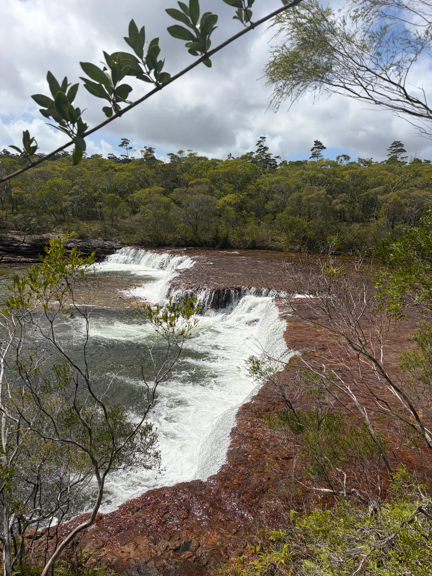 Fruit Bat Falls cascading over a wide rocky ledge into a clear pool, bush on both sides